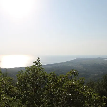 Tuzcuoglu Homestay