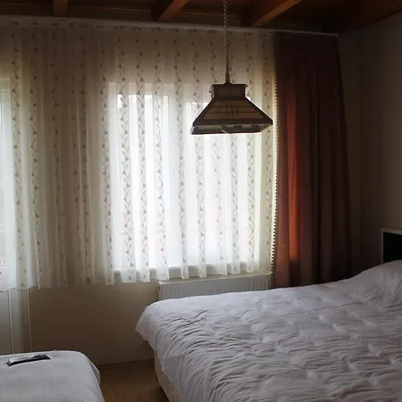 Tuzcuoglu Homestay *